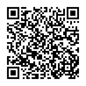 QR Code for The handbook for focus group research