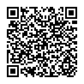 QR Code for Organizational Dynamics And Intervention