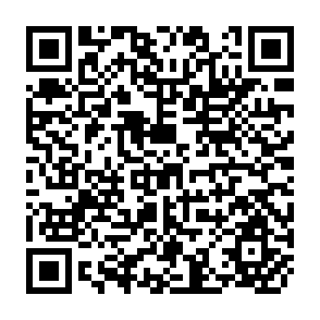 QR Code for Solve That Problem!