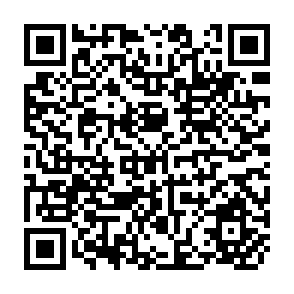 QR Code for Data Processing and Management Information Systems