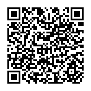QR Code for Data Processing and Management Information Systems