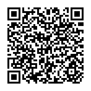 QR Code for World Development Report 2006