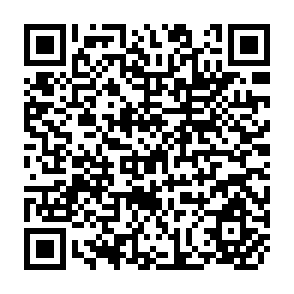 QR Code for Presenting At Conferences, Seminars & Meetings