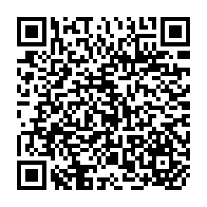 QR Code for Writing reports