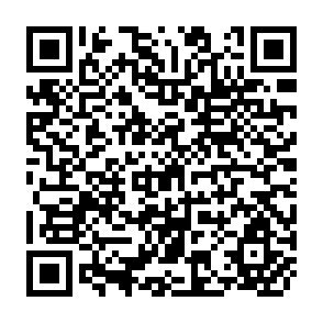 QR Code for Alternative Discourses in Asian Social Science