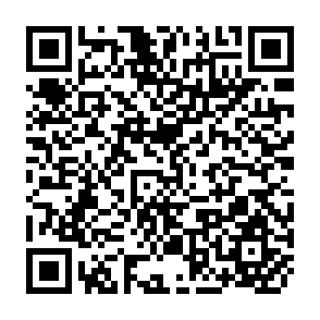 QR Code for The City of Joy