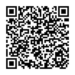 QR Code for Understanding the Economic and Financial Impacts of Natural Disasters