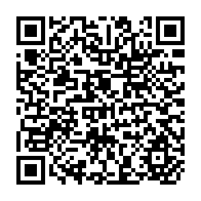 QR Code for Hazards of Nature, Risks to Development
