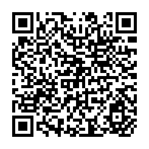 QR Code for Employee Suggestion Systems