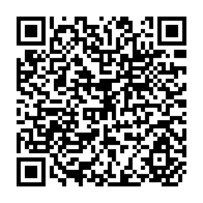 QR Code for The Imlementation of Agricultural Development Policies:Organisation, Management and Institute