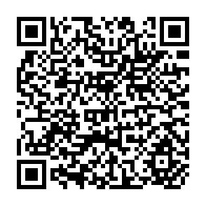 QR Code for You Can Negotiate Anything