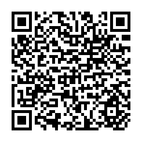 QR Code for Land & Development in Latin America: Openings for Policy Research