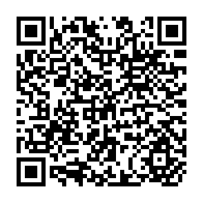 QR Code for The Role Of Information In Lending And Credit Risk Management