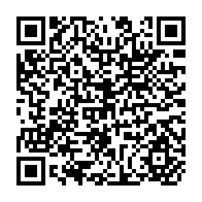QR Code for The Regulatory Framework for Genetically Modified Agricultural Products in Korea