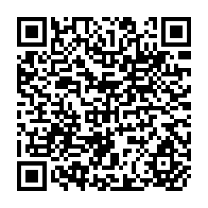 QR Code for Agrarian development in peasant economies