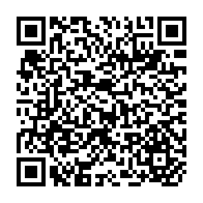 QR Code for Seeds 2