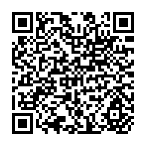 QR Code for Small and medium enterprise(SME) Development in saarc countries