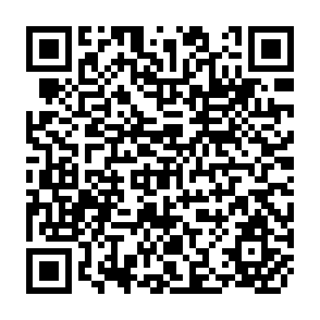 QR Code for Report of the Second World Food Congress - Volume II
