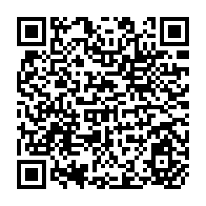 QR Code for Redefining Sustainable Development