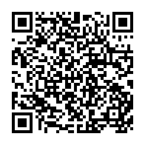 QR Code for Closing of The Krishna Basin: Irrigation,Streamflow Depletion and Macroscale Hydrology