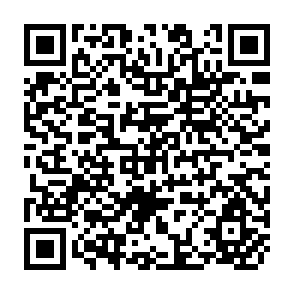 QR Code for Children, Childhood And Migration