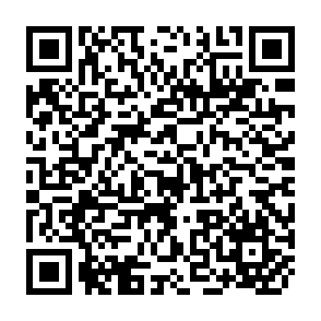 QR Code for What is the capability approach? Its core, rationale, partners, and dangers