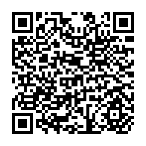 QR Code for Trees and Shrubs of the Maldives