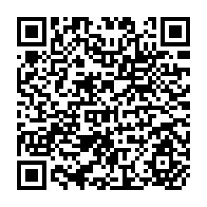 QR Code for Human Development Report 2007/2008