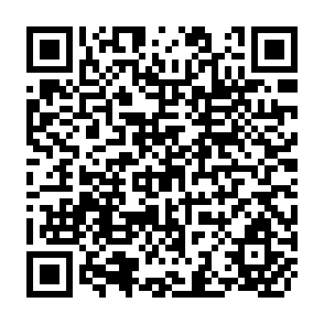 QR Code for Cadastral surveys and Records of Rights in Land