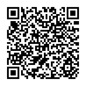 QR Code for Globalization and Summit Reform
