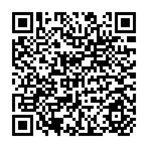 QR Code for Population Studies Translation Series