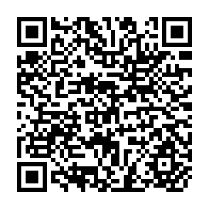 QR Code for Statistical Data Book for Agricultural Research and Development in SAARC Countries