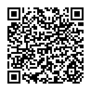 QR Code for Some market effects of agricultural development on functional income disttribution in developed countries
