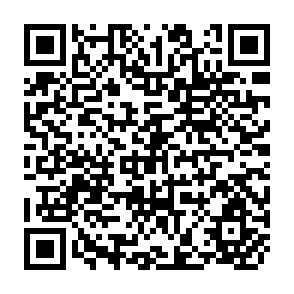 QR Code for An Application of Control Theory to Rural-Urban Migration and Urban Unemployment