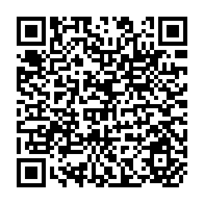 QR Code for World Development Report 2009