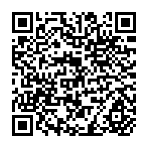 QR Code for Rebuilding International Food Policy Architecture