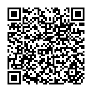 QR Code for Asia - Pacific Human Development Report 2006