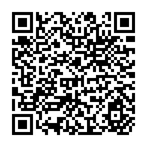 QR Code for Rural Social Welfare Services