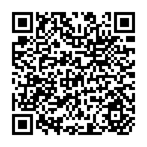 QR Code for Toward Modern Land Policies