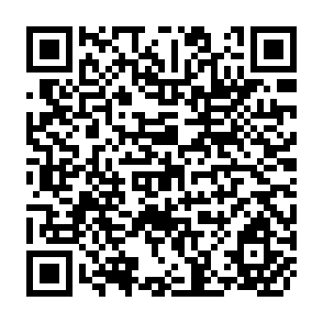 QR Code for The Borgo a Mozzano Agriculture after Eleven Years of Agricultural Extension and Divulugation