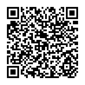 QR Code for Fertility Management of the Soil-Rhizosphere System for Efficient Fertilizer Use in Vegetable Production