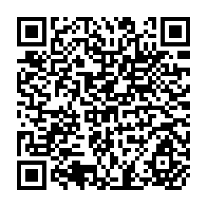 QR Code for The Reliability Improvement in Irrigation Services- Application of Rotational Water Distribution to Tertiary Canals in Central Asia