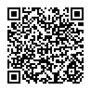 QR Code for Closing of The Krishna Basin: Irrigation,Streamflow Depletion and Macroscale Hydrology