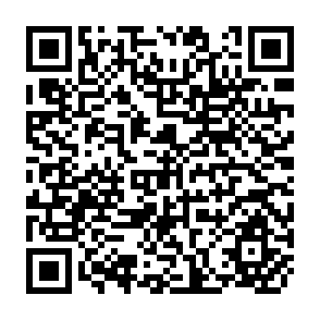 QR Code for Hydrological and Environmental Issues of Interbasin Water Transfers in India: A Case of the Krishna River Basin
