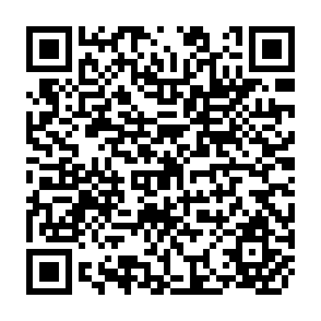 QR Code for The Human Element