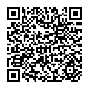QR Code for The Politics of Trade