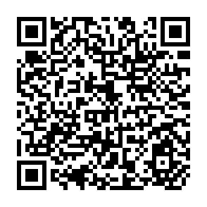 QR Code for Process Improvement and Quality Management in the Retail Industry
