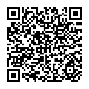 QR Code for The New Rice in Monsoon Asia - Part III