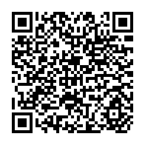 QR Code for A Socio-Economic Survey of Agriculture in the Lilongwe Land Development Program Area