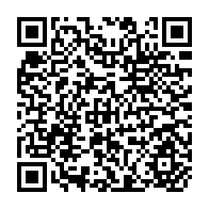 QR Code for A Socio-Economic Survey of Agriculture in the Lilongwe Land Development Program Area